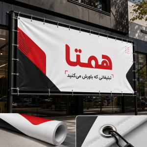 فلکس